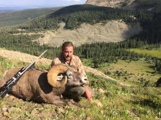 Sheep Hunts Photo